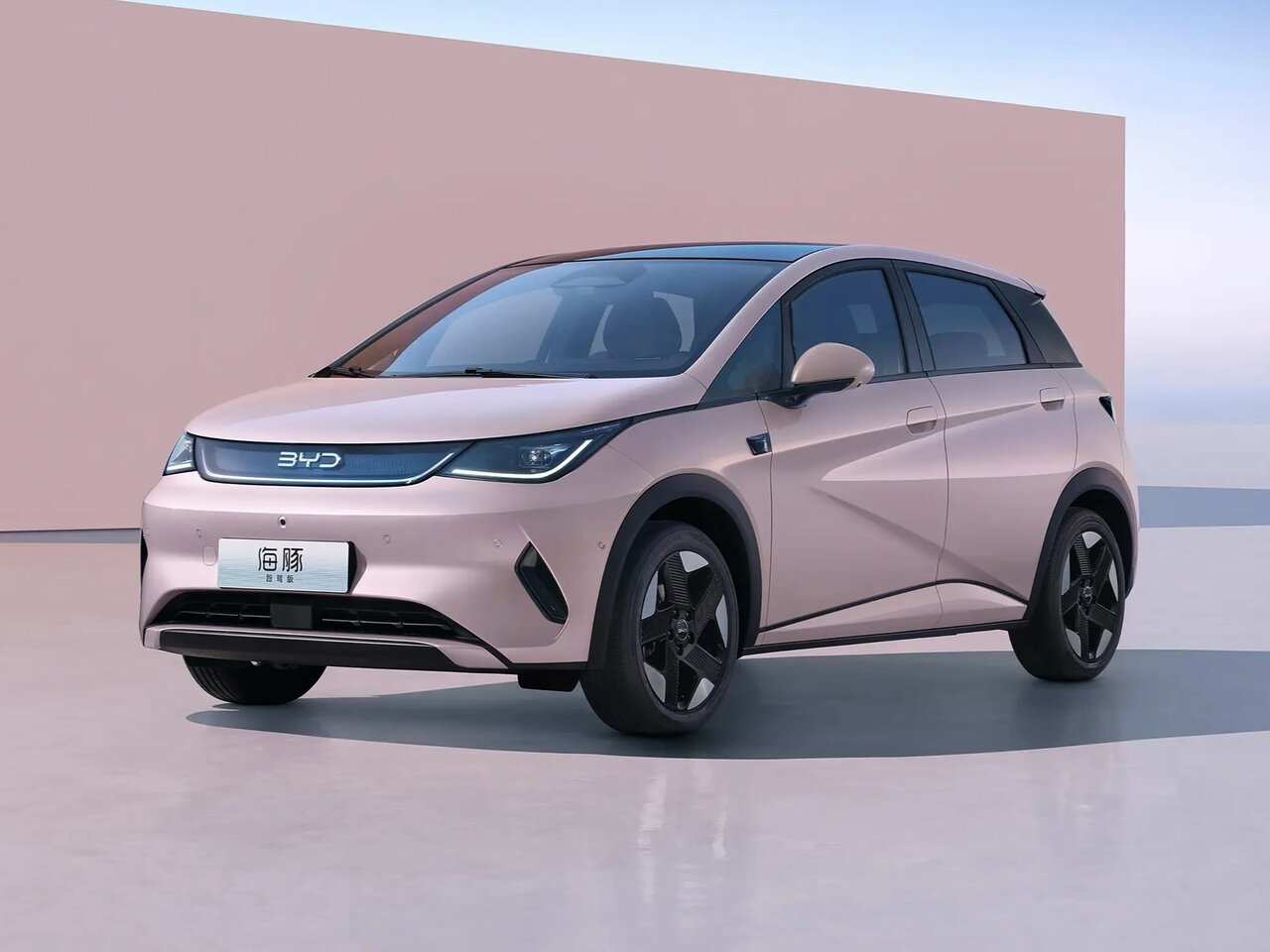 BYD Dolphin