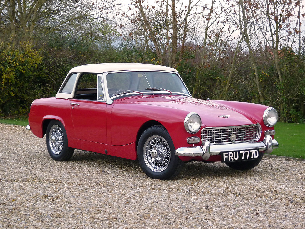 Austin Sprite