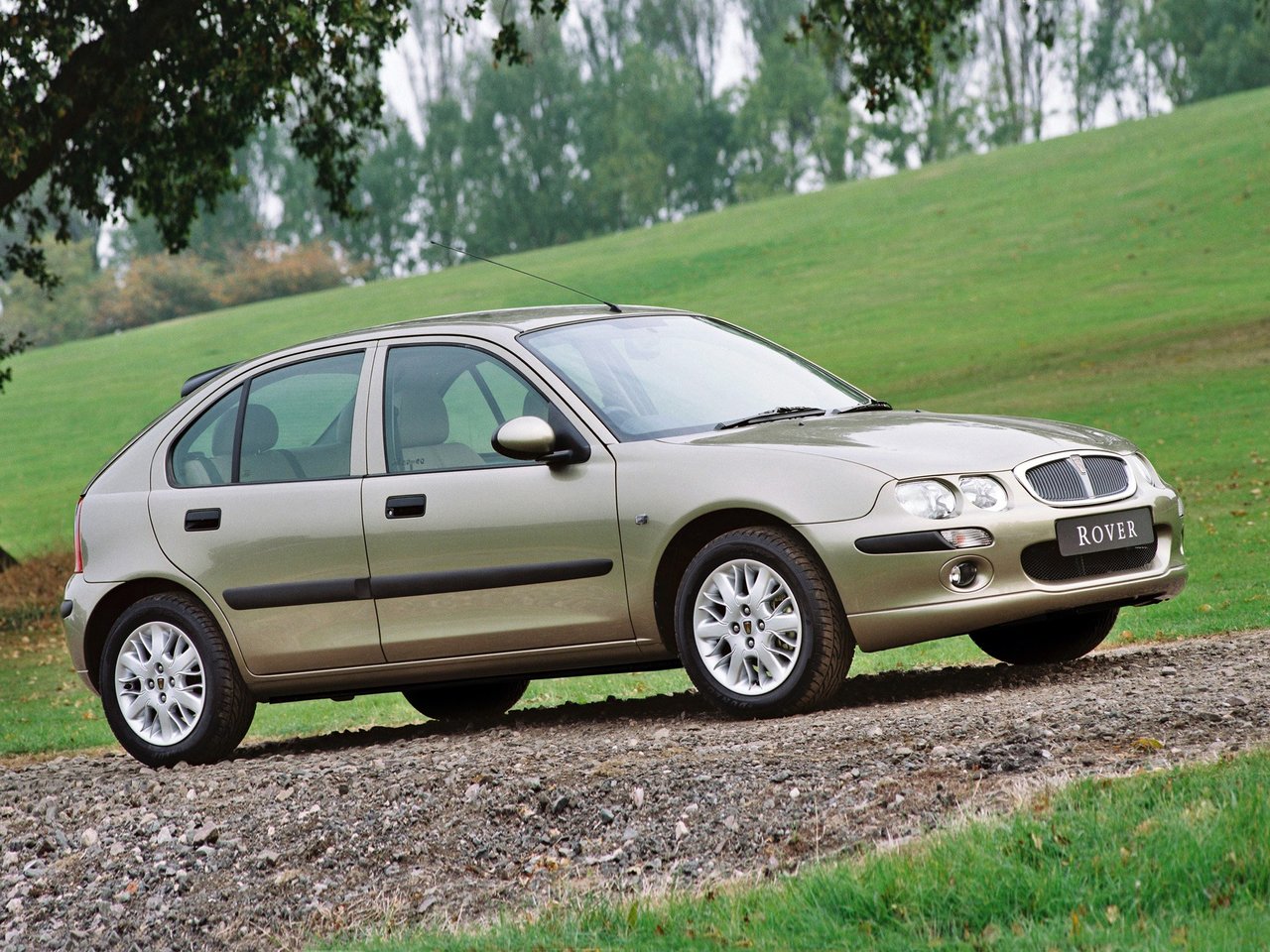 Rover 25