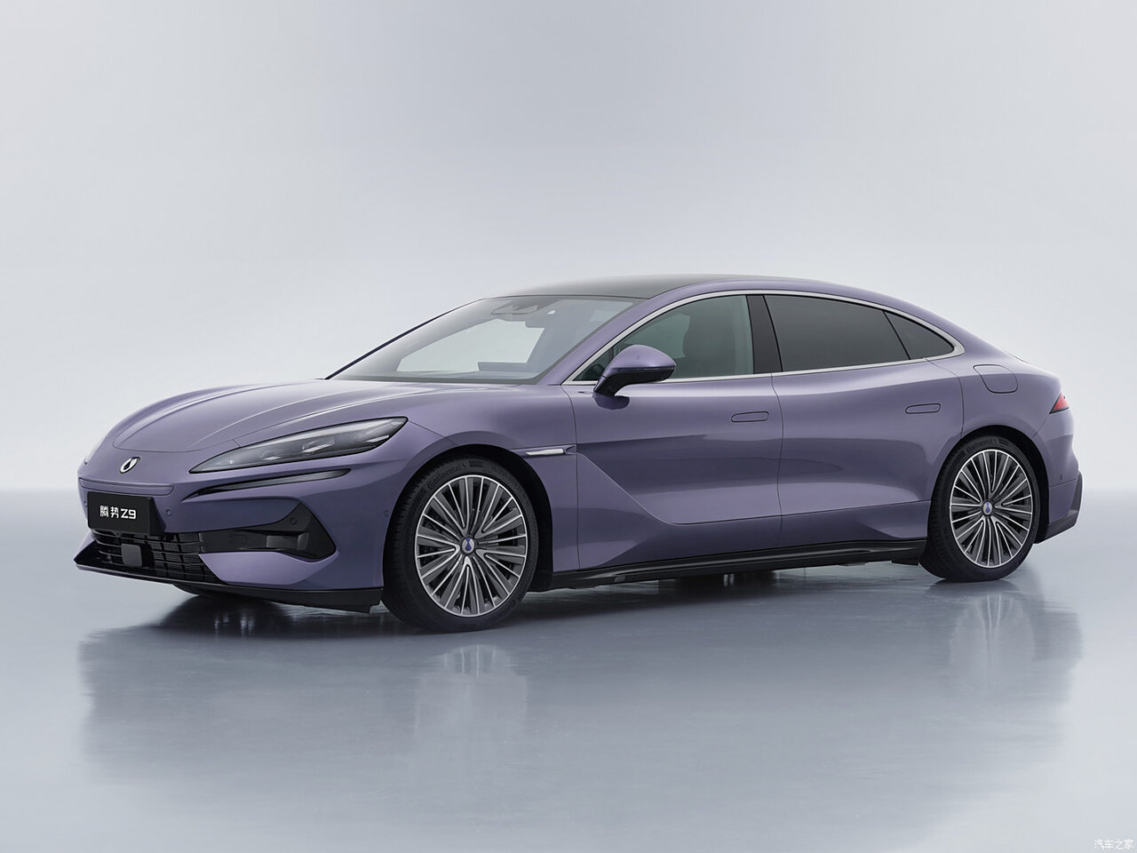Denza Z9