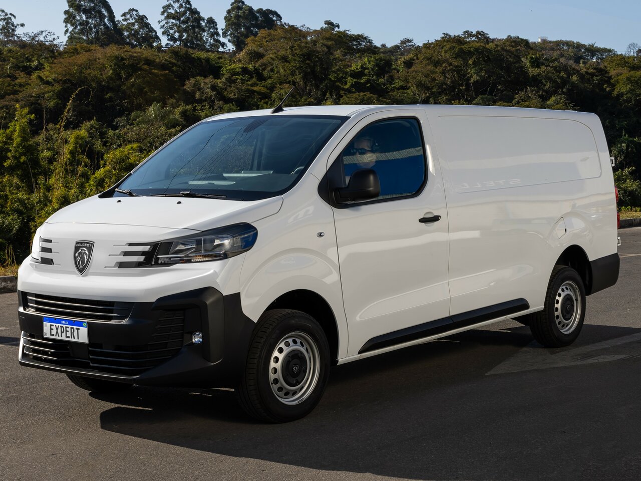 Peugeot Expert