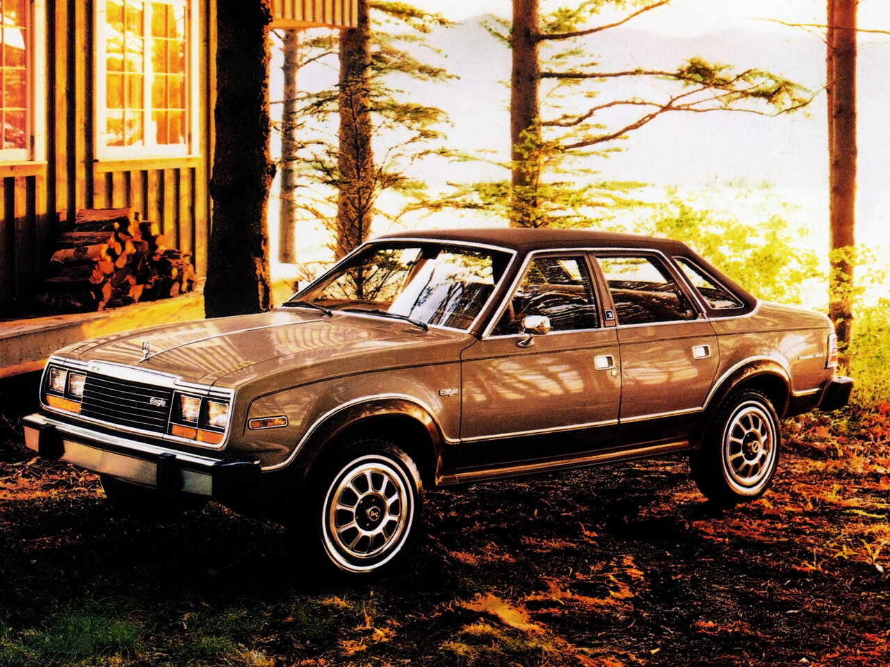 AMC Eagle